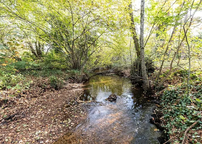 D'hotes Du Prieur 3* Léognan